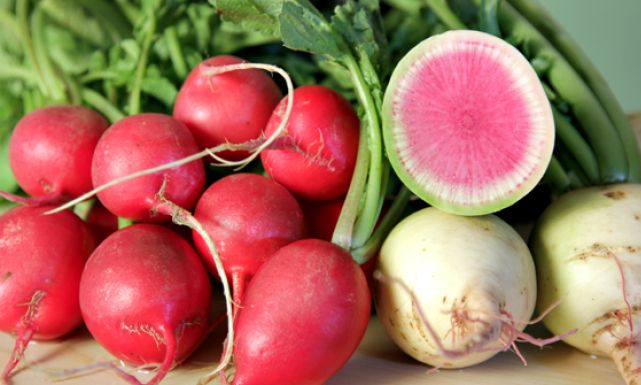 فجل Radish White