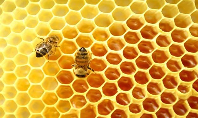 Včelí úľ