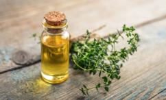 انواع الزعتر