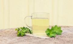 فوائد عباءة السيدة للرحم