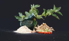 اضرار العبعب