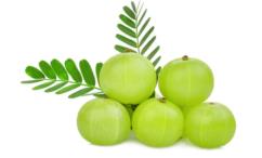 أضرار الأملج للشعر