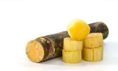 فوائد قصب السكر للرجال