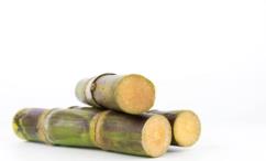 فوائد قصب السكر للنساء