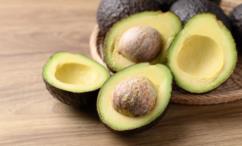 أضرار الأفوكادو للشعر