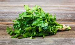 أضرار البقدونس للشعر