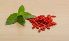 فوائد البربرين للجسم