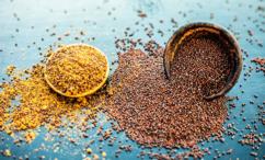 فوائد بذور الخردل للشعر