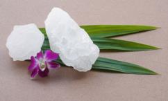 فوائد الشبه للرحم