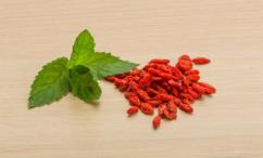 فوائد البربرين للقولون