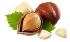 فوائد البندق للضغط