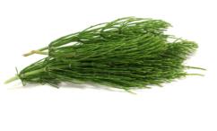 أضرار عشبة ذيل الحصان للشعر