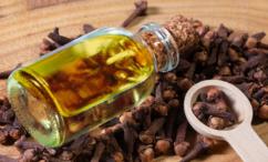 فوائد القرنفل للثة