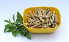 فوائد العبعب