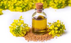 أضرار زيت الخردل للوجه