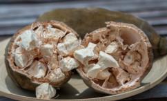 فوائد التبلدي للبطن