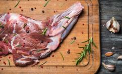 أضرار لحم الغزال