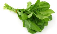 فوائد الجرجير للعضو الذكري