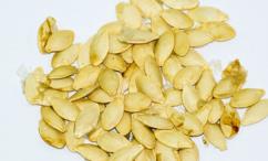 فوائد بذور الكوسا