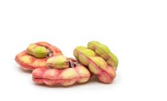 اضرار اللوز الهندي