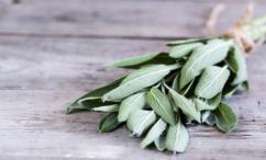 أضرار الميرمية للشعر