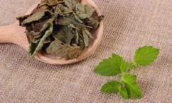 فوائد المليسا للرحم