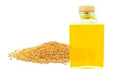 أضرار زيت الخردل للرجال