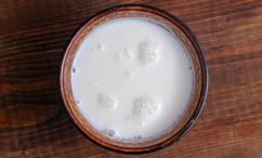 فوائد حليب الإبل للمبايض