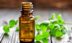 فوائد زيت النعناع للعضو الذكري