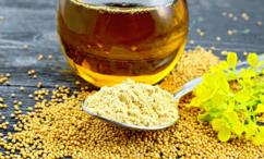 فوائد زيت الخردل للأعصاب