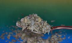 فوائد عشبة العشرق للتنحيف