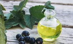 أضرار زيت الكشمش الأسود