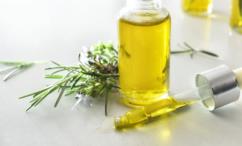 فوائد زيت إكليل الجبل للعضو الذكري