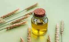 أضرار زيت جنين القمح للشعر