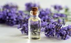 فوائد زيت اللافندر للعضو الذكري