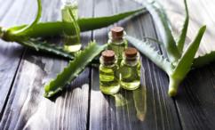 فوائد زيت الصبار للعضو الذكري