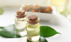 أضرار زيت شجرة الشاي للشعر