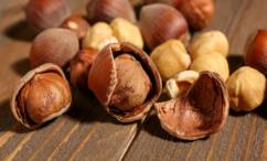 فوائد البندق للحامل