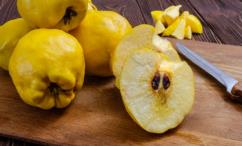 أضرار السفرجل للحامل