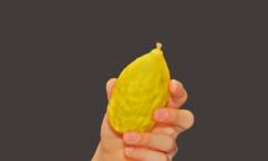 فوائد الترنج للحامل