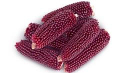 فوائد الذرة الحمراء