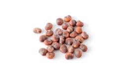 فوائد الحبحبوه للجنس