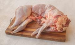 فوائد لحم الأرنب للجنس