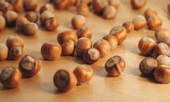 فوائد البندق للجنس