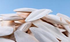 أضرار لسان البحر على البشرة