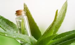 أضرار زيت الصبار للشعر