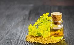 فوائد زيت الخردل للمهبل