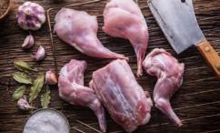 فوائد لحم الأرنب للنساء