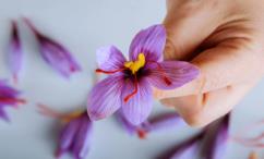 فوائد الزعفران للشعر