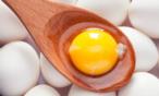 فوائد صفار البيض